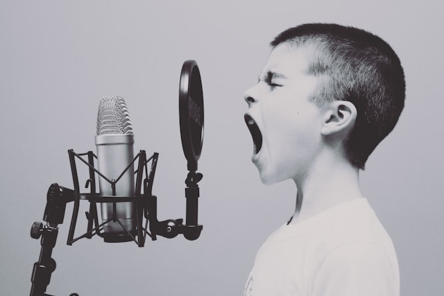 Training and Coaching in Voice Acting