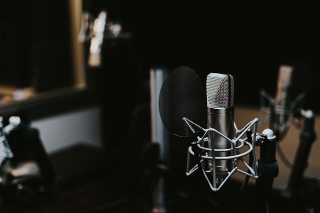XLR microphone